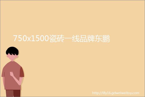 750x1500瓷砖一线品牌东鹏